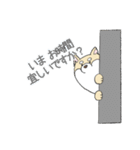 敬語の柴犬（個別スタンプ：12）