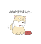 敬語の柴犬（個別スタンプ：15）