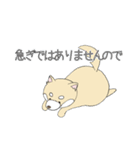 敬語の柴犬（個別スタンプ：16）