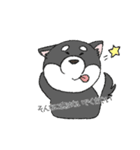敬語の柴犬（個別スタンプ：23）