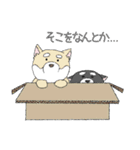 敬語の柴犬（個別スタンプ：35）