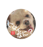 今日のごはんなに食べる？（個別スタンプ：1）
