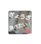 今日のごはんなに食べる？（個別スタンプ：5）