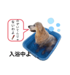 りっきーちゃんのきもち 2（個別スタンプ：3）
