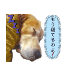 りっきーちゃんのきもち 2（個別スタンプ：6）