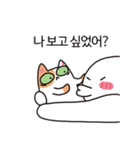 猫と召使（個別スタンプ：3）