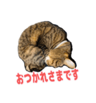 やっぱりすてきなひなたくん（個別スタンプ：23）