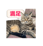 やっぱりすてきなひなたくん（個別スタンプ：29）