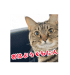 やっぱりすてきなひなたくん（個別スタンプ：32）