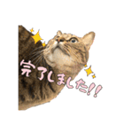やっぱりすてきなひなたくん（個別スタンプ：33）