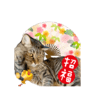やっぱりすてきなひなたくん（個別スタンプ：39）