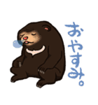 働くマレーグマ（個別スタンプ：2）