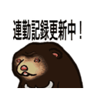 働くマレーグマ（個別スタンプ：21）