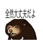 働くマレーグマ（個別スタンプ：22）