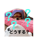 ちっぷさんオフィシャル3（個別スタンプ：21）
