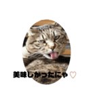 我が家のにゃん子さん（個別スタンプ：22）