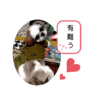 我が家のもじゃ 7（個別スタンプ：5）