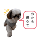 我が家のもじゃ 7（個別スタンプ：8）