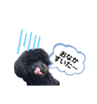 ティナアン（個別スタンプ：3）