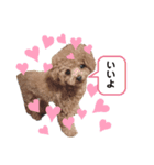 ティナアン（個別スタンプ：5）