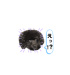 ティナアン（個別スタンプ：6）