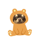 お銀ちゃん（個別スタンプ：3）