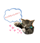 kuku*日常編②（個別スタンプ：1）
