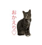 kuku*日常編②（個別スタンプ：2）