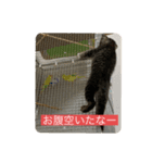 kuku*日常編②（個別スタンプ：5）