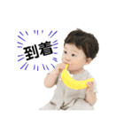 さくくんstamp2号（個別スタンプ：11）