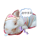 私のうさぎ。シャルル第4弾（個別スタンプ：5）