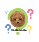 もこらて（個別スタンプ：1）