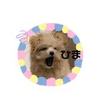 もこらて（個別スタンプ：9）
