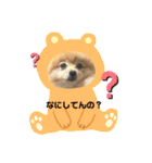もこらて（個別スタンプ：14）