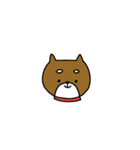 柴犬たろうの日常。（個別スタンプ：1）