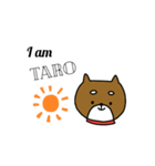 柴犬たろうの日常。（個別スタンプ：16）