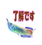 可愛い 熱帯魚（個別スタンプ：2）