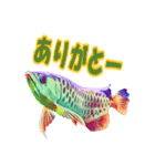 可愛い 熱帯魚（個別スタンプ：3）