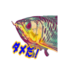 可愛い 熱帯魚（個別スタンプ：6）