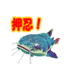 可愛い 熱帯魚（個別スタンプ：10）