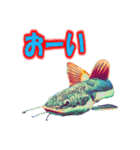 可愛い 熱帯魚（個別スタンプ：11）