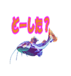 可愛い 熱帯魚（個別スタンプ：12）