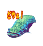 可愛い 熱帯魚（個別スタンプ：13）