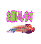 可愛い 熱帯魚（個別スタンプ：15）