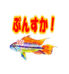 可愛い 熱帯魚（個別スタンプ：25）