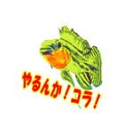 可愛い 熱帯魚（個別スタンプ：26）