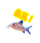 可愛い 熱帯魚（個別スタンプ：27）