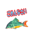 可愛い 熱帯魚（個別スタンプ：28）