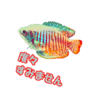 可愛い 熱帯魚（個別スタンプ：29）