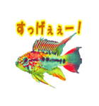 可愛い 熱帯魚（個別スタンプ：31）